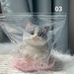 🎁Best Gift😻Cute and soft cat-shaped toy💕