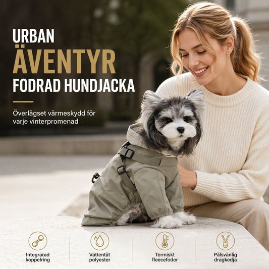 🐶 50% RABATT! 🧥 Varmt vadderat hundtäcke – vattentätt och vindtätt vinterkomfort ✨